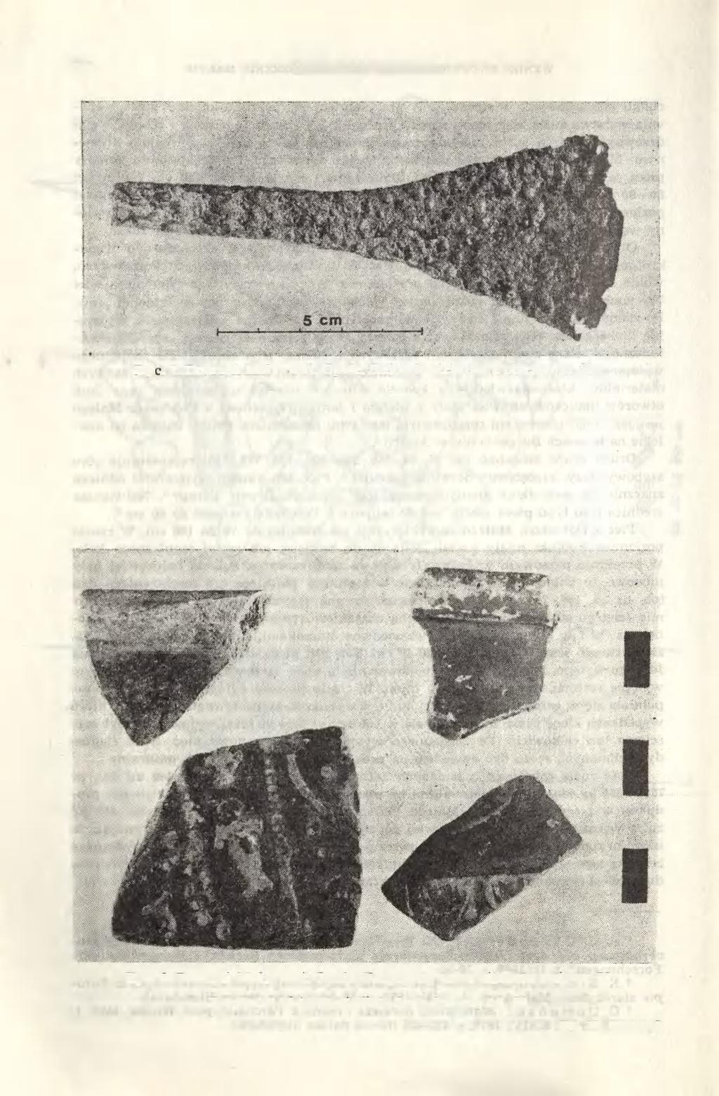 176 EUGENIUSZ TOMCZAK Ryc. 7. Dobrzeń Mały, woj. Opole. Siekierka żelazna z obiektu nr 380 Iron axe from feature no. 380 Fot. S. Wdowiak Ryc.