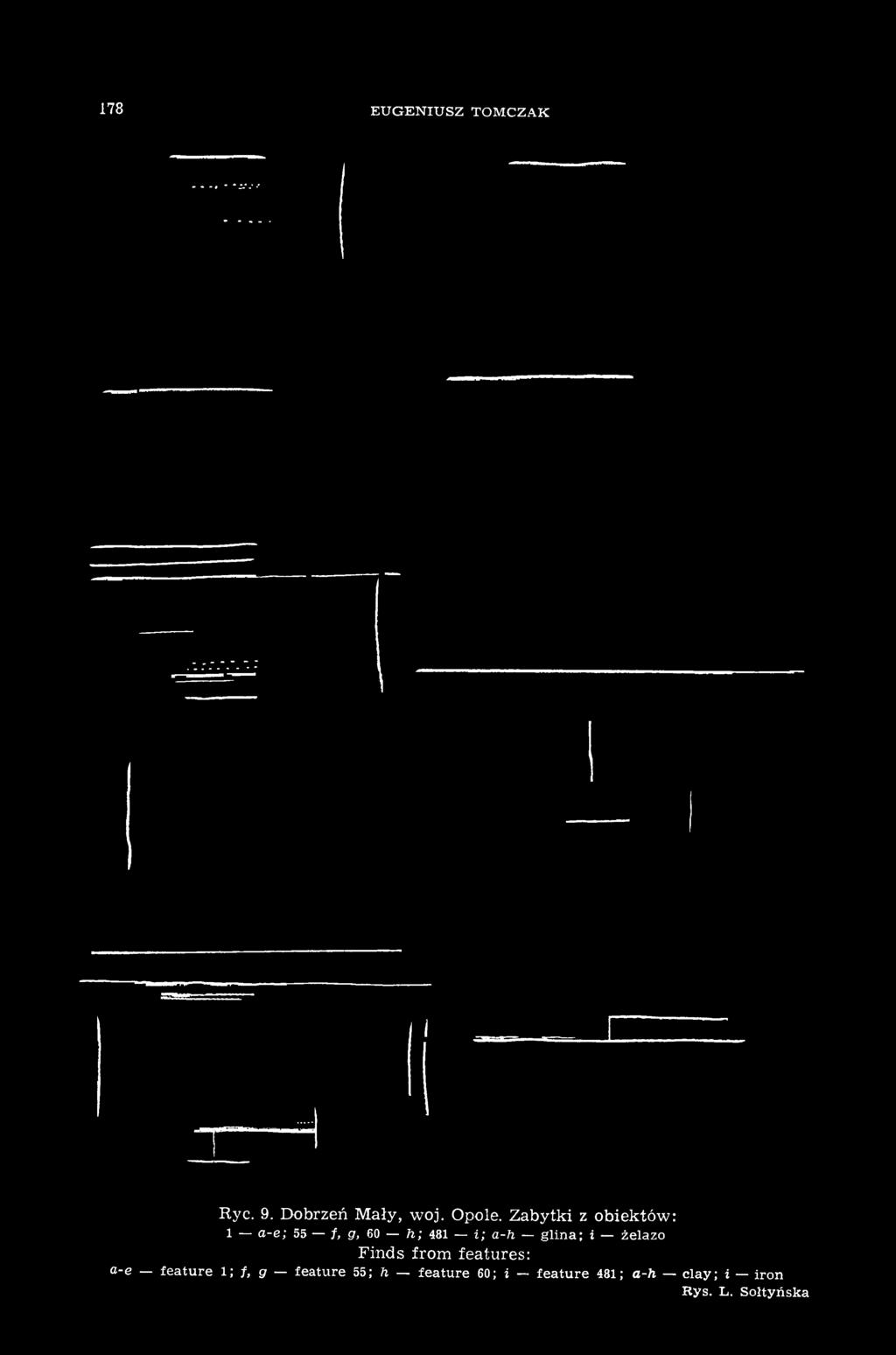 i żelazo Finds from features: a-e feature 1; f, g feature