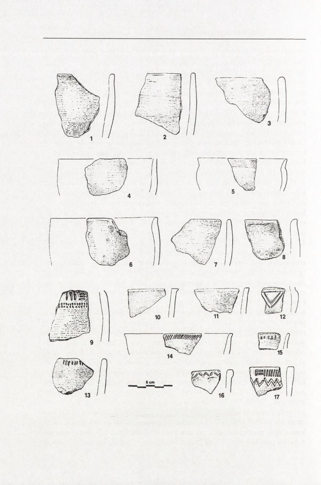 176 ANDRZEJ PELISIAK Ryc. 10. Andrzejów, stan. 2.