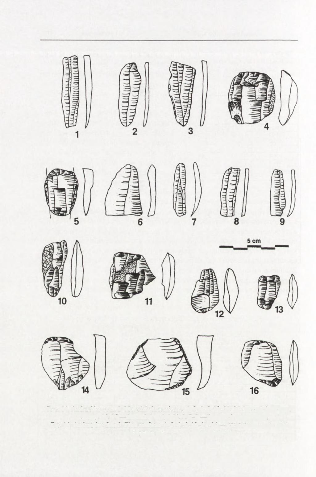184 ANDRZEJ PELISIAK Ryc. 14. Andrzejów, stan. 2. Materiały krzemienne.