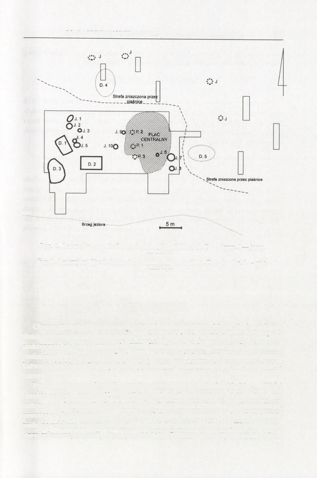 OSADA KULTURY PUCHARÓW LEJKOWATYCH W ANDRZEJOWIE 167 Ryc. 2. Andrzejów, stan. 2. Obszar badań wykopaliskowych. D domy, J jamy, P paleniska Fig. 2. Andrzejów, Site 2.