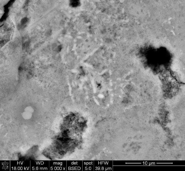 SEM-BSE images of the microstructural details of 40