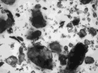 48 I. Polowczyk n-ionic magnafloc 0,5 ppm 2 ppm 5 ppm c-ionic magnafloc