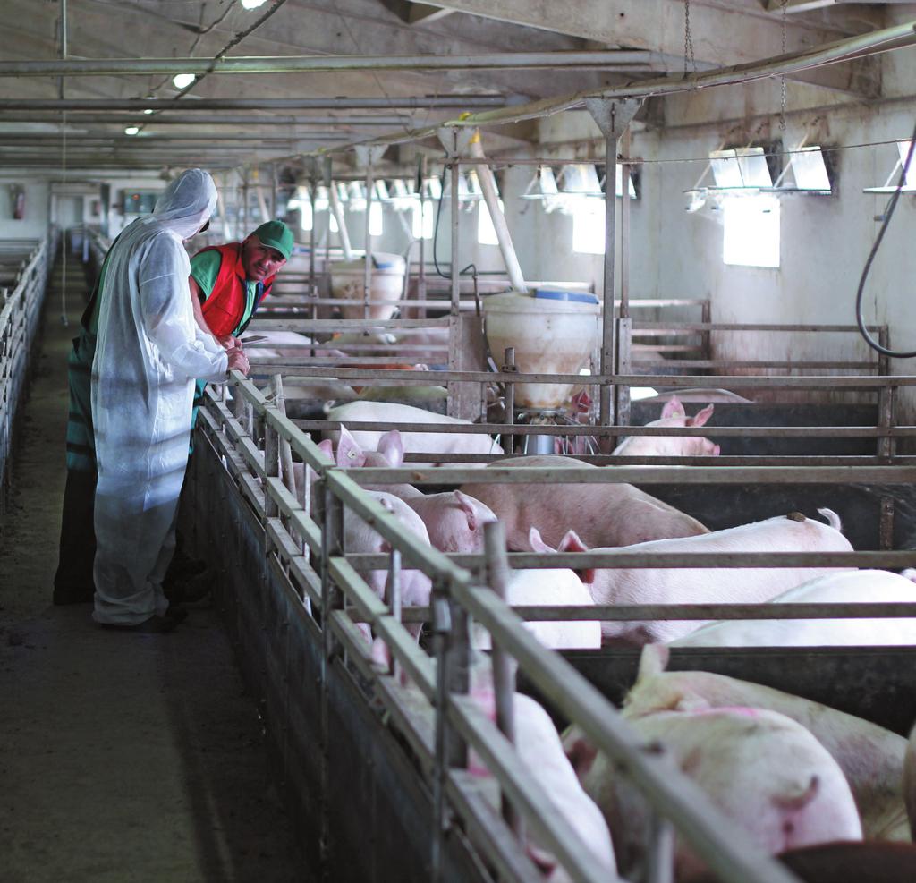 bioasekuracji muszą traktować jako swoje główne zadanie szkolenie, analizę i ponawianie szkolenia w razie potrzeby. Do wyzwań należą wysoka rotacja personelu i konieczność aktualizo- wania wiedzy.