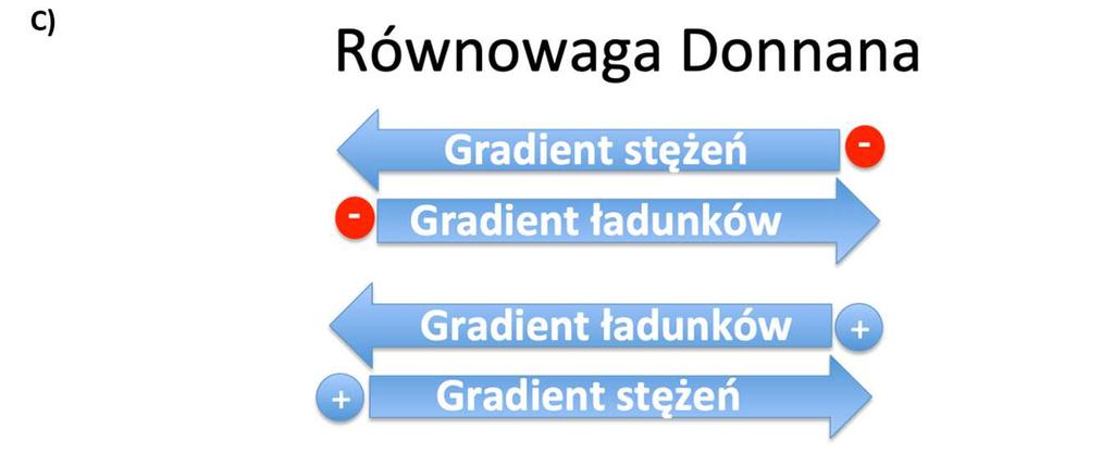 Przepływ jonów pomiędzy przedziałami można zatrzymać wytwarzając pomiędzy nimi odpowiednią różnicę potencjałów.