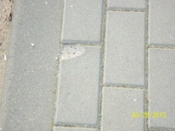 Załącznik nr 3 do umowy nr... z dnia.