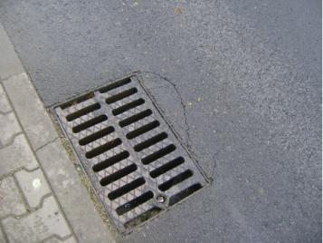 miesięcy od posadzenia (warunek zachowania żywotności przez 3 lata w