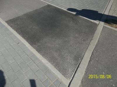b) Pozostałe nasadzenia roślinne okres 12 miesięcy od posadzenia.