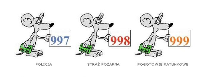 do góry KOMENDA GŁÓWNA PAŃSTWOWEJ STRAŻY POŻARNEJ https://www.straz.gov.pl/porady/dzieci/printpdf.