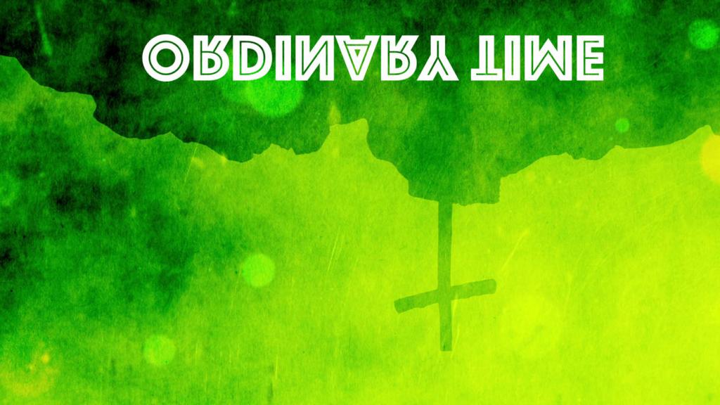 NOVEMBER 3, 2019 THIRTY- FIRST SUNDAY IN ORDINARY TIME XXXI NIEDZIELA ZWYKŁA Saturday / Sobota 6:00 P.M. Ś.P. Piotr Raciborski od rodziców.