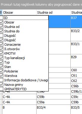 5.5 DOSTOSOWANIE WYGLĄDU ZESTAWIEŃ Program Telekom Zestawienia i Warstwy posiada duże możliwości dostosowania wygląda i zawartości wyświetlanych zestawień.