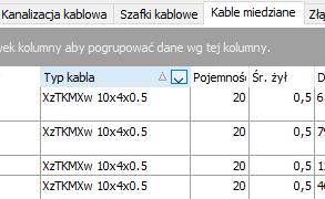 5.1 WYBÓR KOLUMN Po lewej stronie linii nagłówków zestawienia jest możliwość dokonania wyboru wyświetlanych kolumn.
