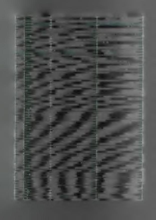 X 4214 X 4217 0,00 X 4219 0,00 X 4220 X 4240 0,00 X 4260 0,00 X 4270 0,00 X 4271 X 4280 2 2 4 7,0 0 2 0 0 8,0 0 X 4281 0,00 X 4282 0,00 X 4287 0,00 X 4289 0,00 X 4300 0,00 2 2 0 1,0 0 X 4301 0,00 X