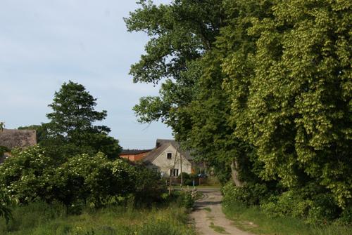 Nowa Niedrzwica Wieś leży 3,5 km na północny zachód od Przytocznej; 2 km na południe od Nowej Niedrzwicy znajduje się stacja kolejowa Rokitno (dziś nieczynna).