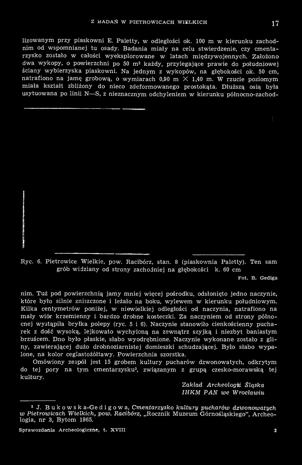 Założono dwa wykopy, o powierzchni po 50 m 2 każdy, przylegające prawie do południowej ściany wybierzyska piaskowni. Na jednym z wykopów, na głębokości ok.