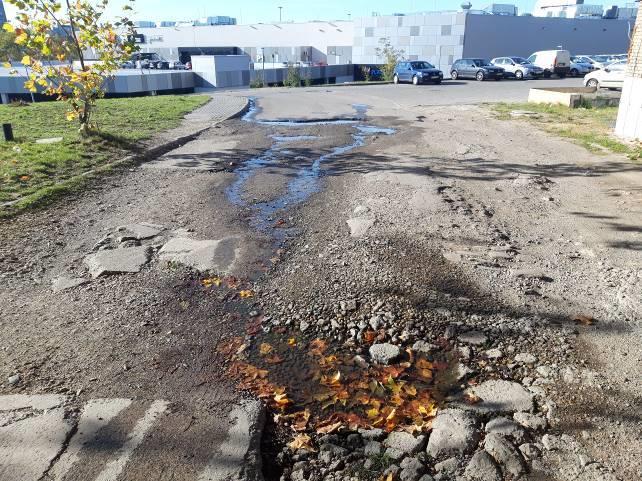 Zdjęcie 5. Ul.