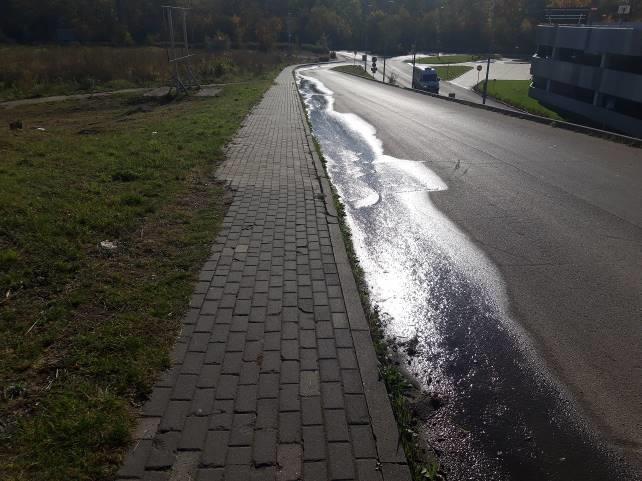 Zdjęcie 6. Ul.