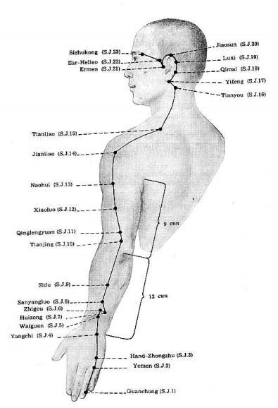 13 Rys. 4. Meridian sanjiao źródło: http://www.