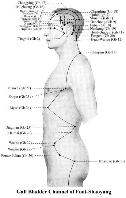 38 Rys. 21 Rys. 22 Rys. 21 22. Meridian nogi shaoyang (woreczka żółciowego) źródło: http://www.wingchunkwoon, http://www.bodyfoodenergy.