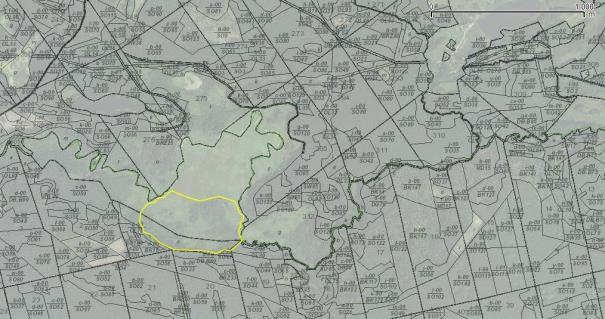 6 Położenie geograficzne Projektowany rezerwat "Torfowisko Pliszka " leży 9 km na południe na południe od Torzymia na wysokości miejscowości Drzewce i