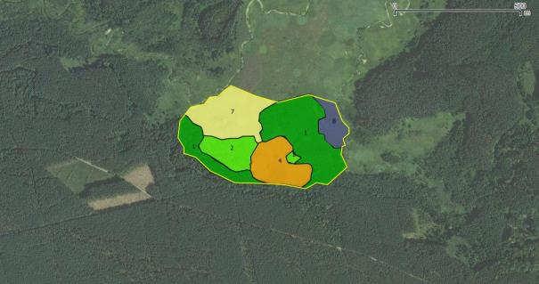 Najbardziej naturalnymi lasami w dolinie na siedliskach zabagnionych są olsy ze związku Alnion glutinosae. Znaczne połacie zajmuje tu ols torfowcowy Sphagno squarosi- Alnetum oraz ols z kosaćcem.