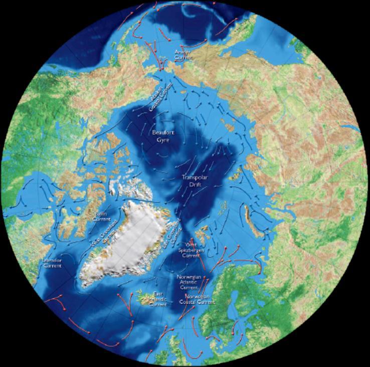 zasięgu lodu morskiego w Oceanie Arktycznym (Rothrock i inni., 1999; Vinnikov i inni, 1999).