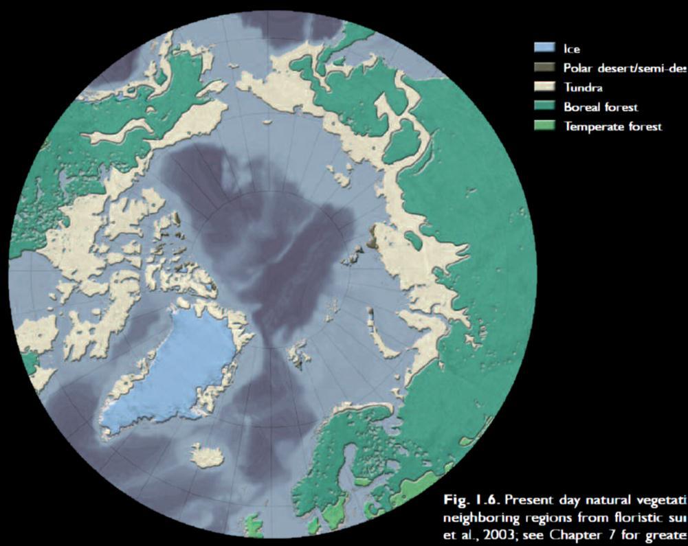 Lód Pustynia/półpustynia Tundra Tajga Lasy strefy umiarkowanej Rysunek 34. Geobotaniczy podział Arktyki z uwzględnieniem części rejonów strefy umiarkowanej (ACIA, 2005).