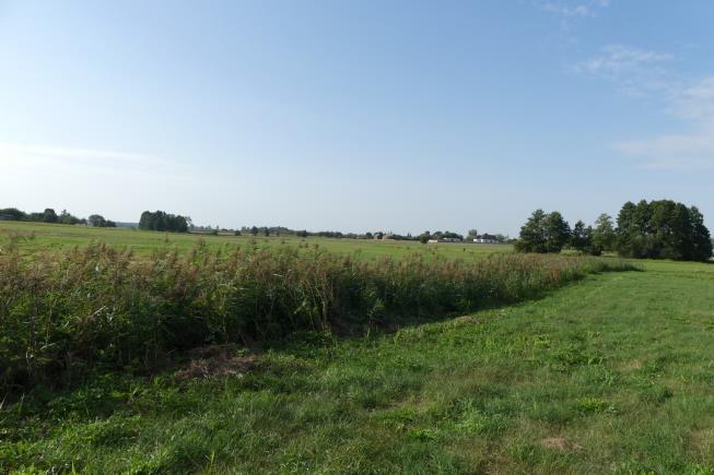 ZAŁĄCZNIKI FOTOGRAFICZNE (OBSZARY MIODODAJNE): Obszary miododajne Fot.