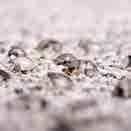 TECHNOLOGIA UNIKALNY SYSTEM WCS WATERPROOF COATING SYSTEM Produkty VESTONE z linii AVANGARDE i COLORATTO posiadają powłokę