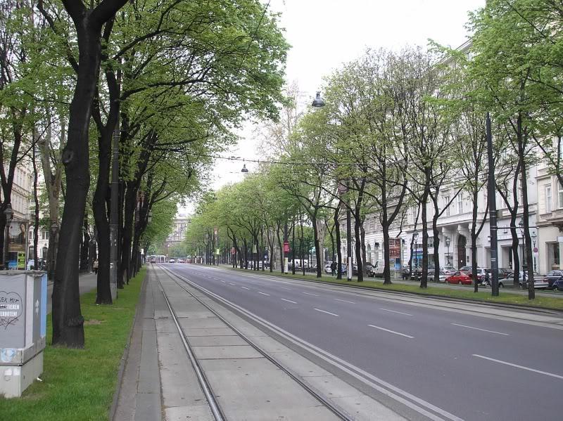 Wprowadzenie zielonej infrastruktury w projektowanym kształcie przyczyni się do ograniczenia występowania temperatur, które w upalne dni mogą przekraczać granicę komfortu termicznego i które