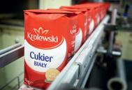 rok gospodarczy 2018/19 Rok założenia Liczba plantatorów Liczba pracowników