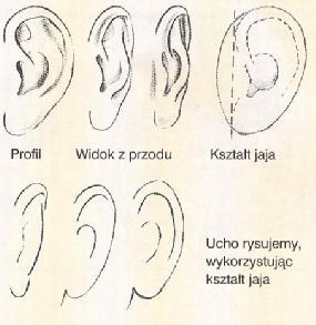 jajka.