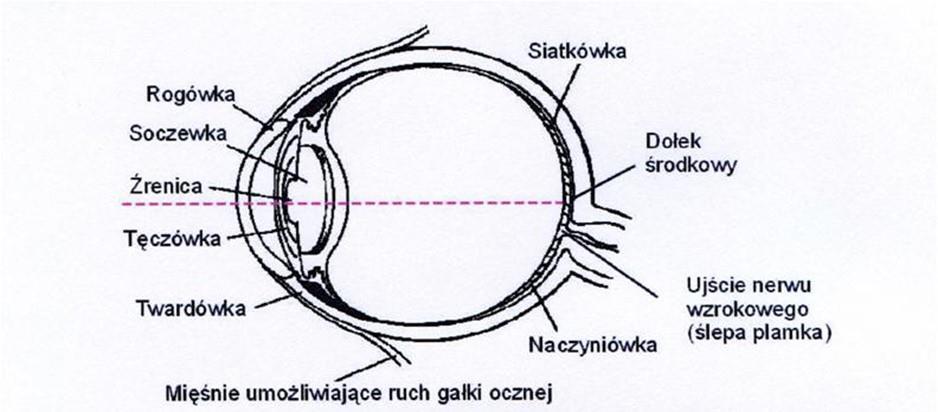Skąd takie a nie inne wymagania?