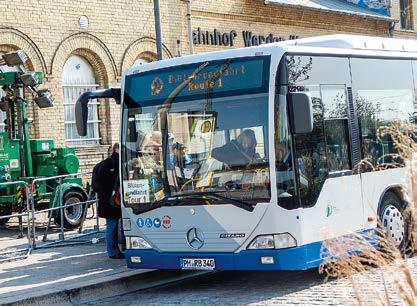 BRANDENBURGIA - KRAINA JABŁEK 15 Autobusy linii kwitnących drzew dowożą turystów przybyłych na święto do sadów w Werder i w okolicy owocowego.
