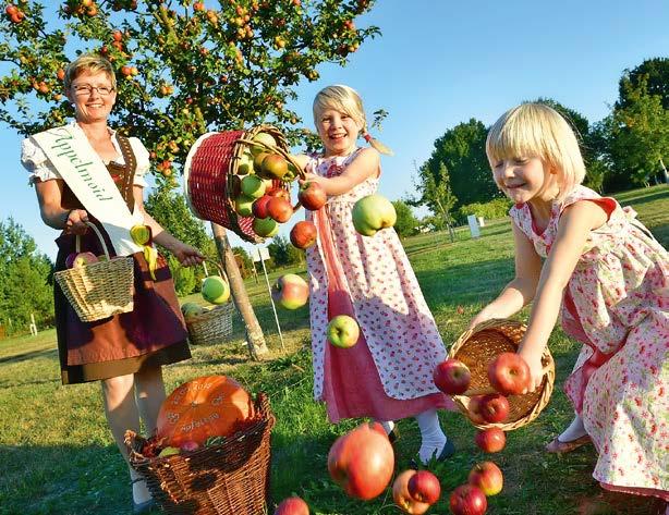 BRANDENBURGIA - KRAINA JABŁEK 87 odmian jabłoni paleta obejmuje owoce jabłkowate, pestkowe, orzechy aż do zapomnianego już prawie jarzębu domowego.
