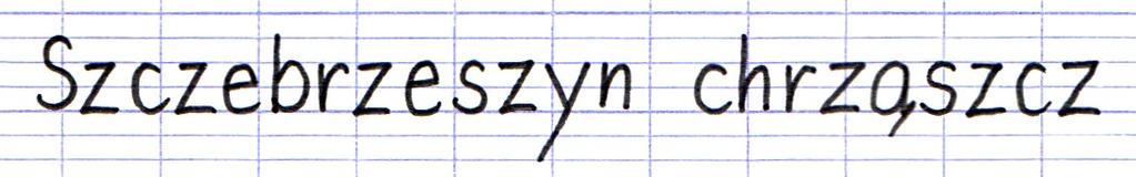 łączenia ich i pisania jednym gestem. W princie trzeba się od tego odzwyczaić.