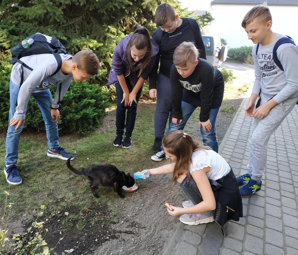 Nto Numer 1 11/2019 Strona 4 Warto pomagać Obecnie mamy listopad. Przed nami grudzień, kiedy wiele osób aktywnie uczestniczy w wielu przedświątecznych akcjach charytatywnych.