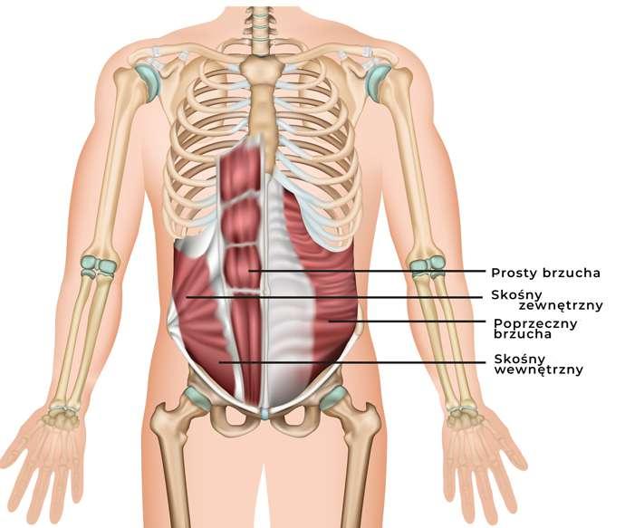 Powtórka z anatomii ROZDZIAŁ 1 Zanim przejdziemy do konkretów poproszę Cię o chwilkę skupienia.