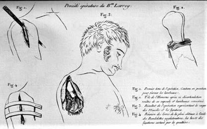 Skrzydłem lewym armii napoleońskiej dowodził król Hieronim, książę Eugeniusz oraz książę Józef Poniatowski, centrum marszałek Joachim Murat i sam Napoleon stał tam niewzruszony.