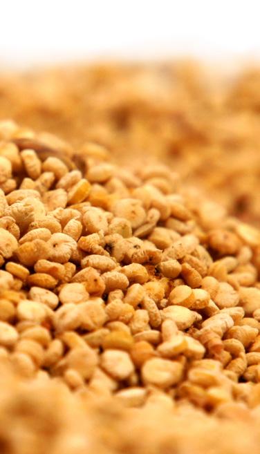 Komosa ryżowa, czyli quinoa zaliczana jest współcześnie do tzw. superfoods, czyli żywności o wyjątkowo bogatym składzie ilościowym i jakościowym oraz niezwykle pozytywnym wpływie na zdrowie człowieka.