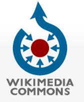 WIKIMEDIA COMMONS Wikimedia Commons to jeden z siostrzanych projektów Wikimedia Foundation utworzony jako magazyn ilustracji, zdjęć i plików multimedialnych dla wszystkich wersji językowych Wikipedii