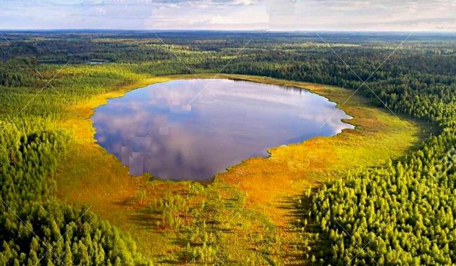 dla regionu Pojezierza. Unikatowy charakter nadają rezerwatowi różnorodne formy rzeźby poglacjalnej: wały ozów, kemy, obniżenia termokrasowe, rynny fluwioglacjalne, pola wydmowe.