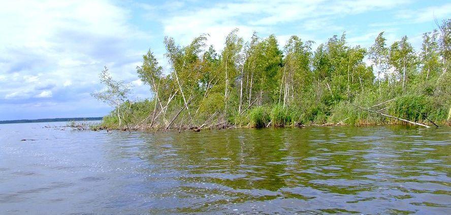47,95 km 2, długość linii brzegowej (pozbawionej zatok) sięga 33,4 km.