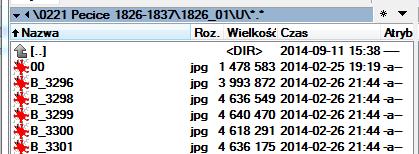 naciskając Enter. Zmiana nazwy pliku została dokonana, rozszerzenie nazwy pozostało bez zmian. Dokonana zmiana nazwy pliku zostanie również uwidoczniona w oknie Eksploratora Windows. 3.2.