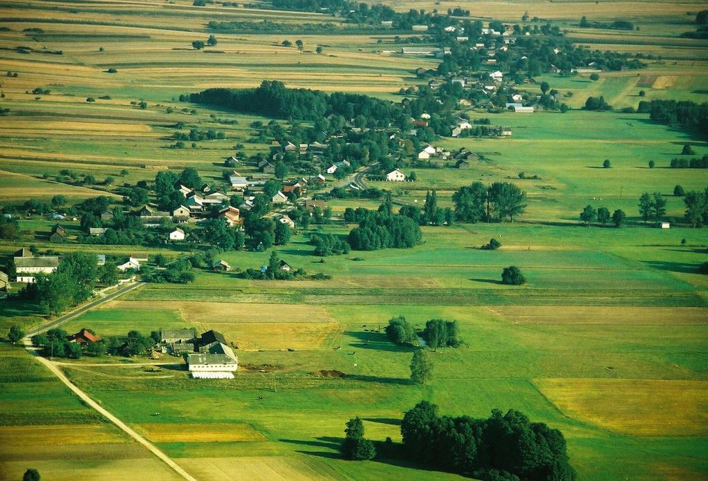 Pola uprawne i łąki wokół wsi na Nizinie Mazowieckiej Intensywna uprawa sadownicza jabłoni Na Nizinie Mazowieckiej mamy gęstą sieć transportową, głównie za sprawą Warszawy, która jako stolica kraju