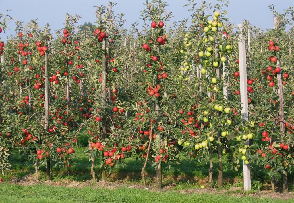 W pobliskim Modlinie, a także w Łodzi i Radomiu rozwijają się lotniska regionalne.