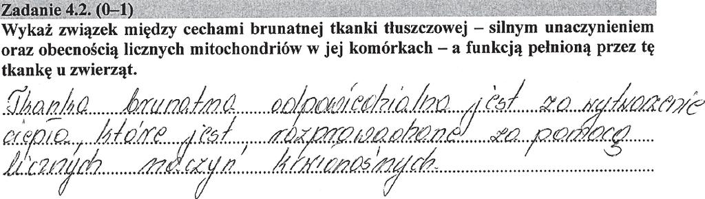 energii w istocie jej rozproszenia (przykład 4.). Przykład 4. Zadanie 4.2. (poziom wykonania zadania 29%) polegało na wykazaniu związku między cechami brunatnej tkanki tłuszczowej, tj.