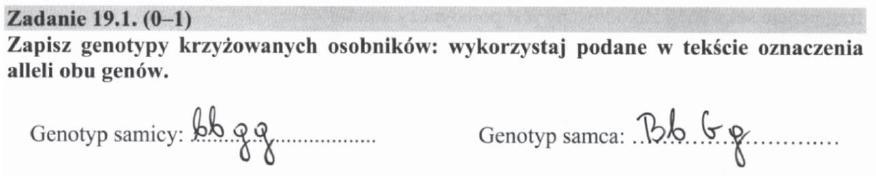 tej wiązki była sprawdzana poprzez zadanie 19.3.