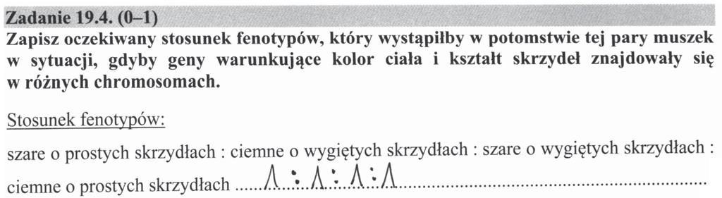 Ostatnie zadanie w tej wiązce 19.4.