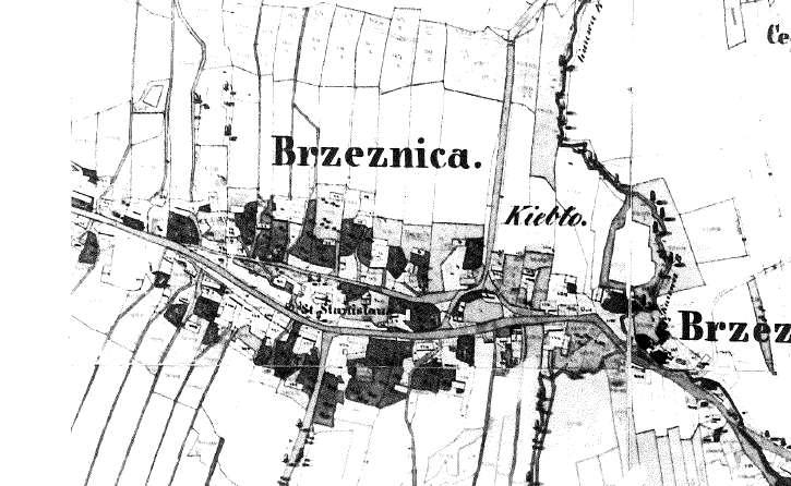 Brzeźnica - plan historyczny - układ owalnicowy miejscowości Brzeźnica Zgodnie z opracowaniem pt. Ewidencja założenia dworsko-parkowego w Nieprześni, gm. Bochnia, woj.